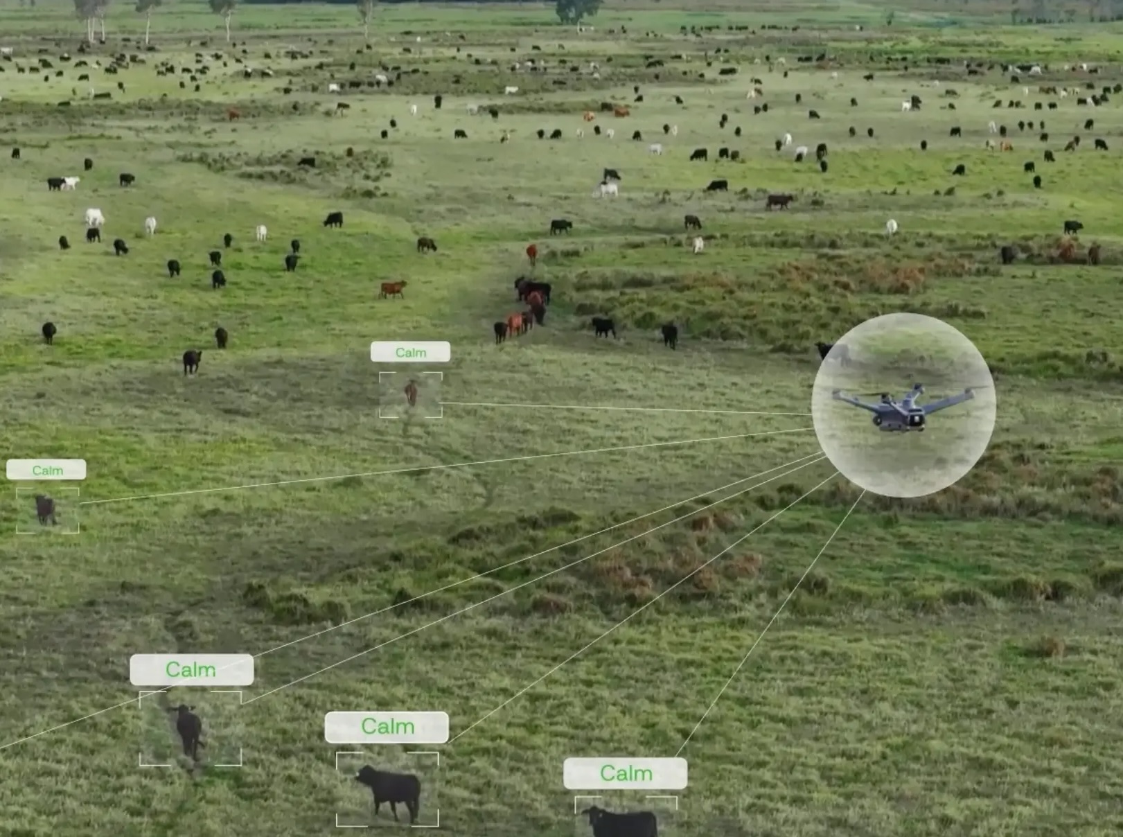 GrazeMate Move and Muster